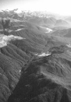 Alpine fault