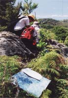 Mapping karst landforms